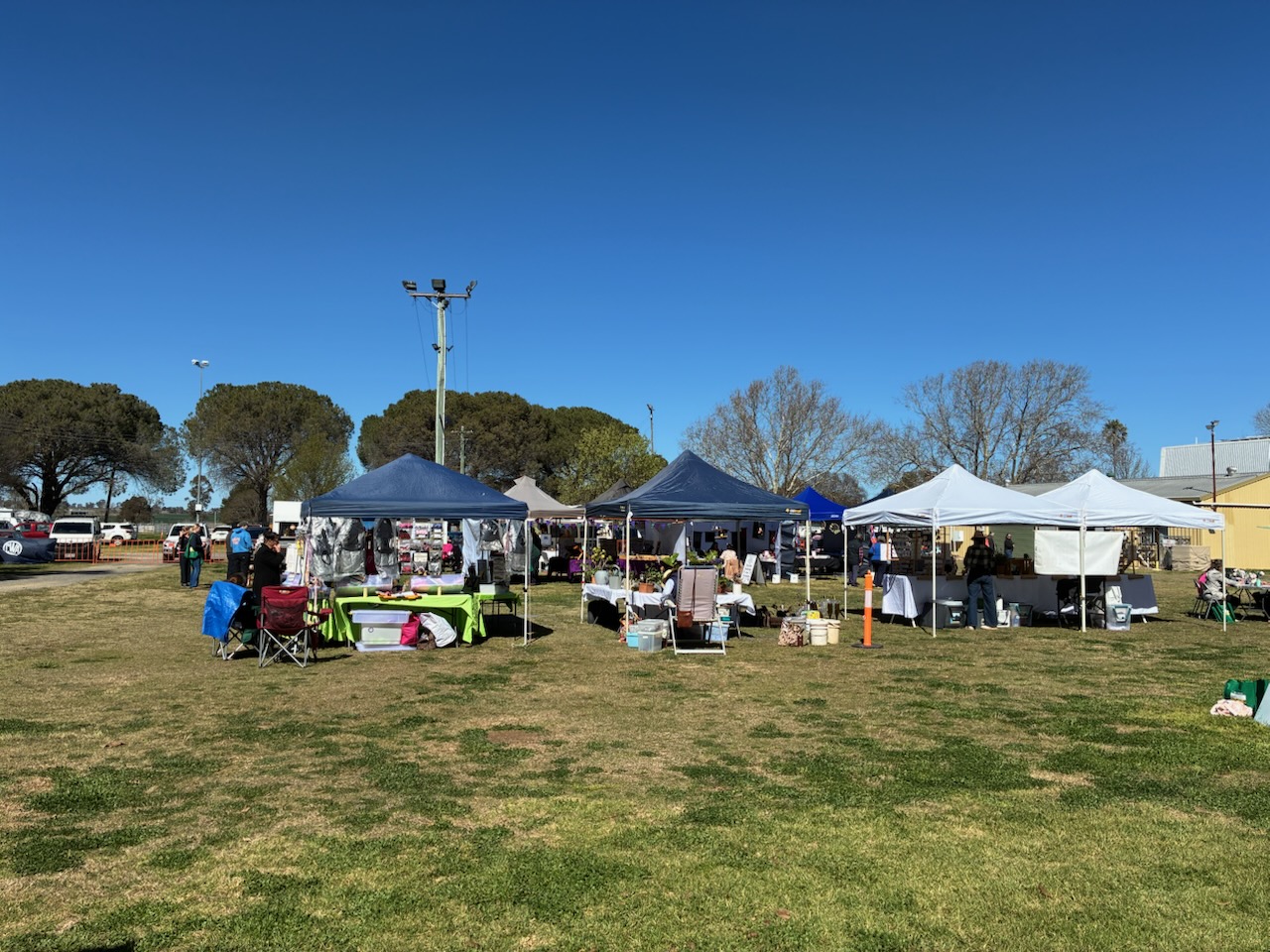 Allora Showgrounds 3