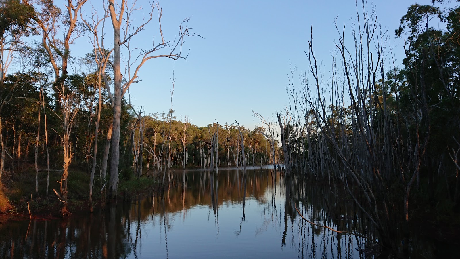 Wongi Waterholes Camping Area 2