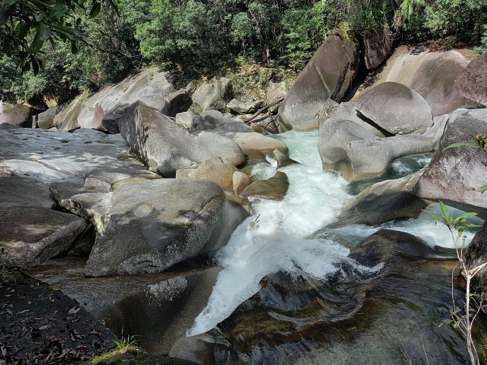 Murray Falls camping area, Girramay National Park 10