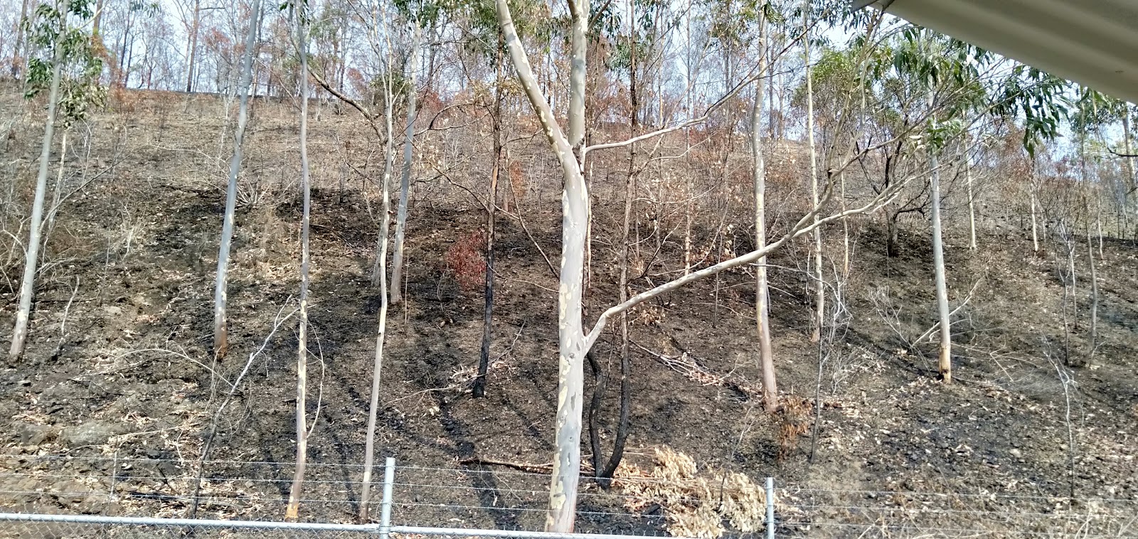 Four Mile Hill Rest Area 6