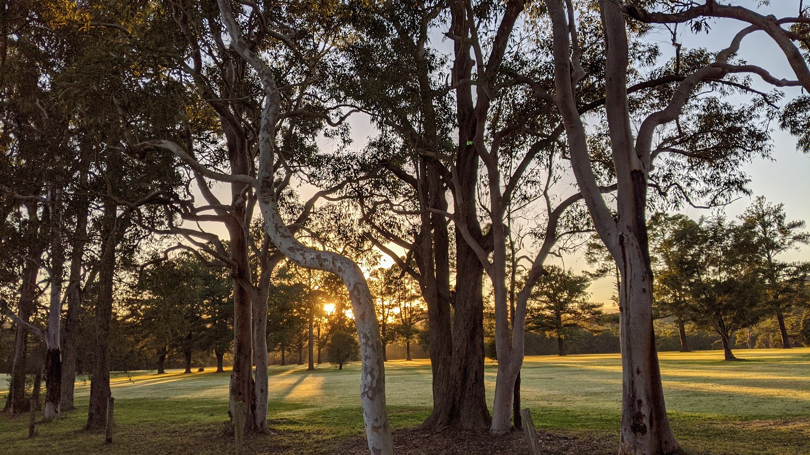 Bulahdelah Golf Club 5