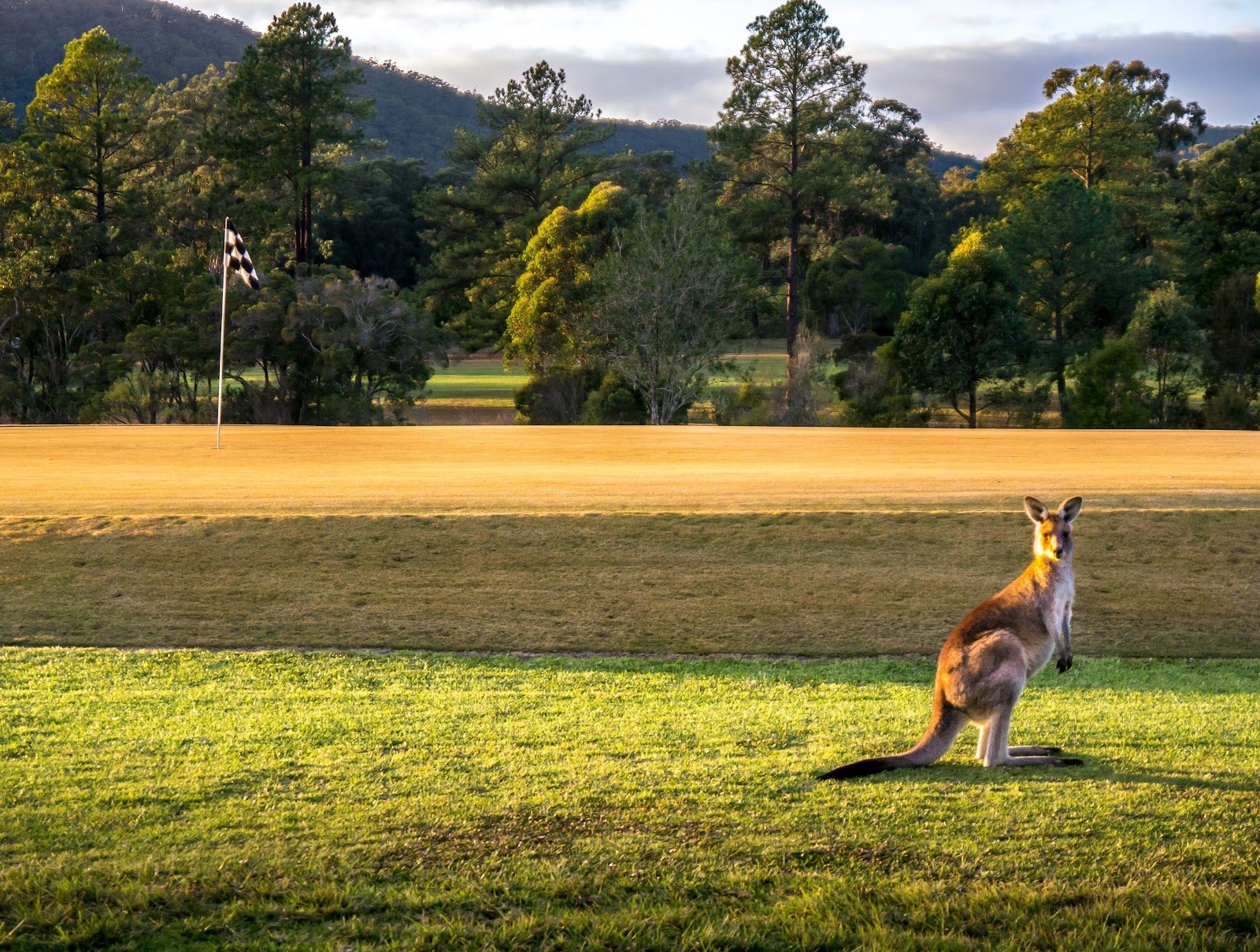 Bulahdelah Golf Club 4