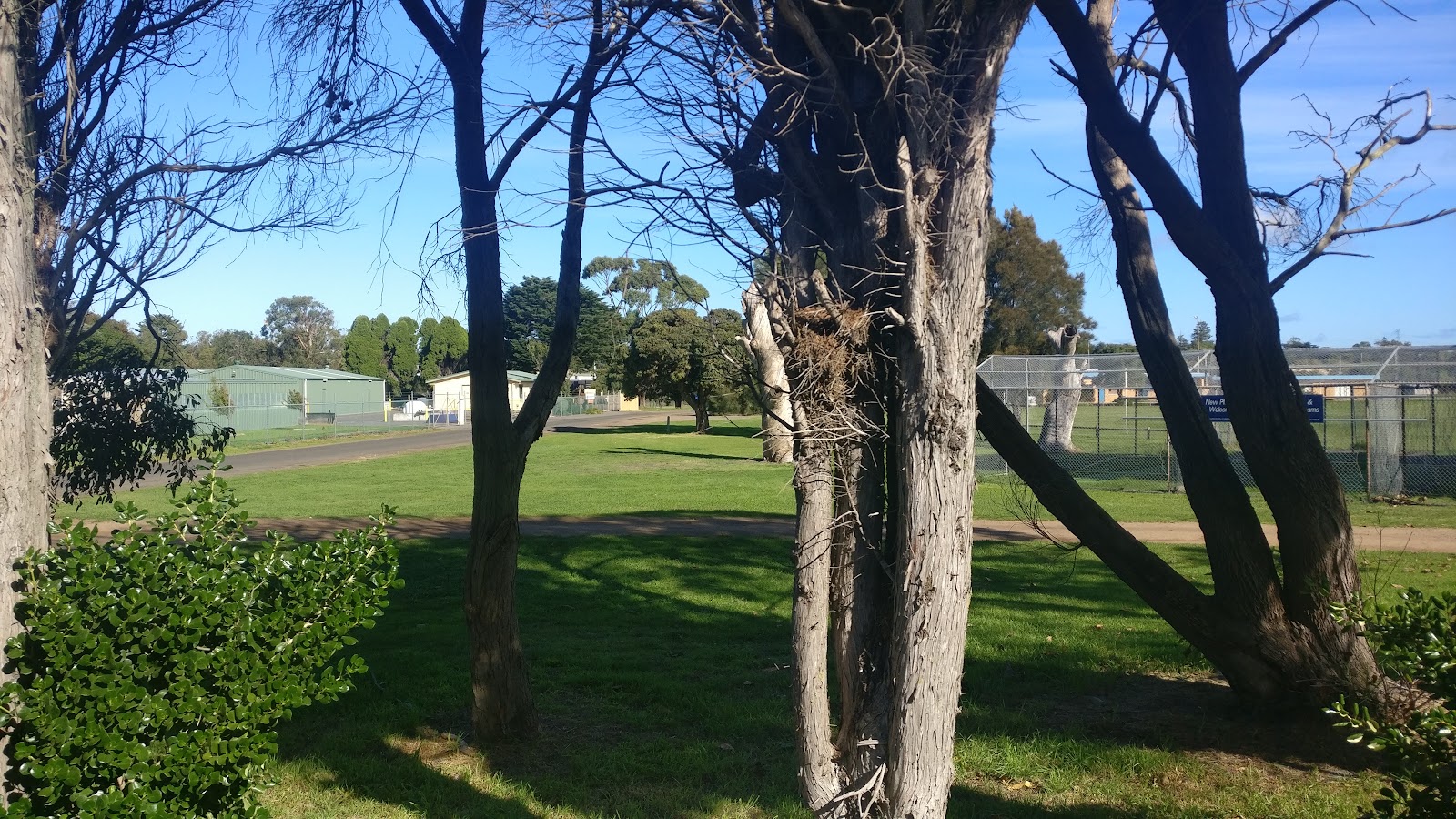 Henty Park 5