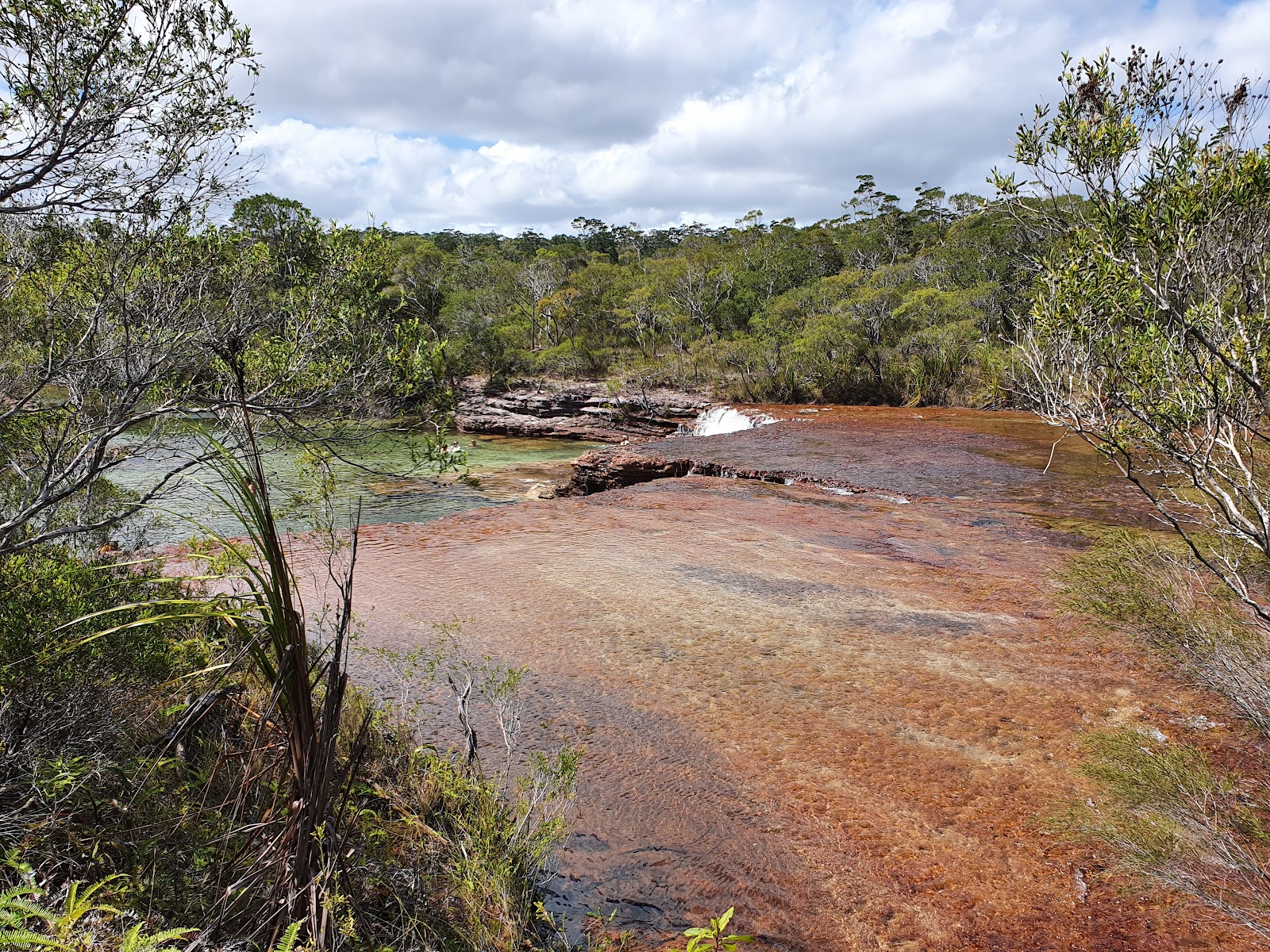 Fruit Bat Falls Picnic Area 5