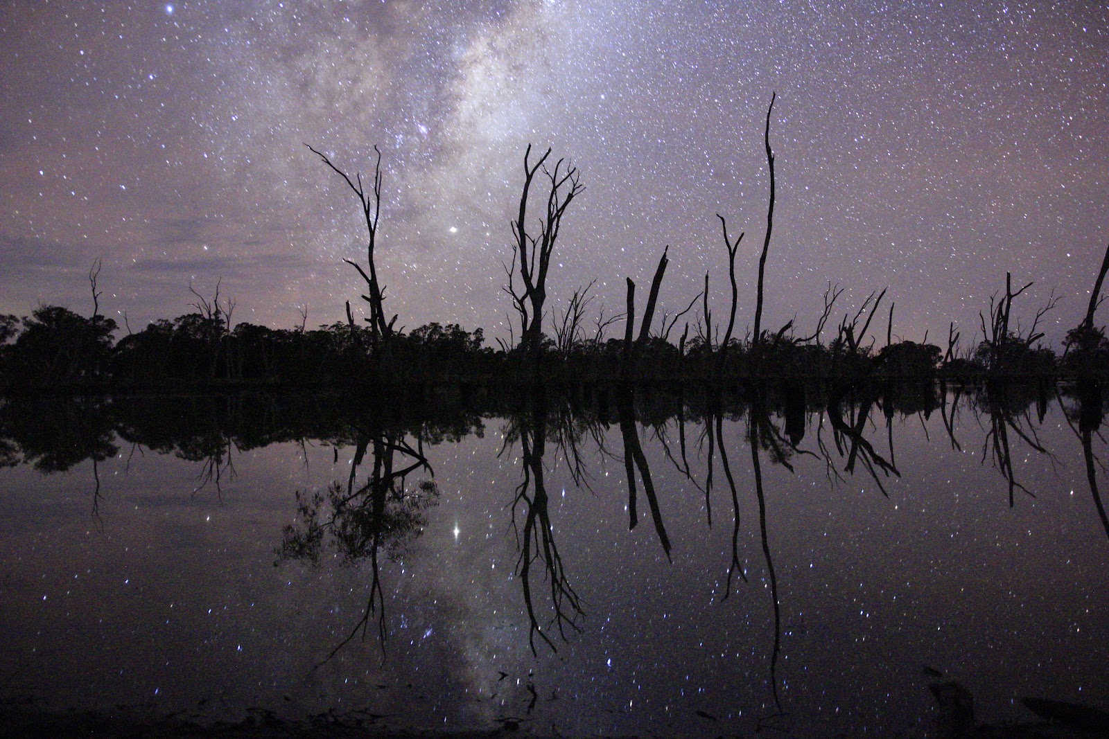 Mullinger Swamp 3