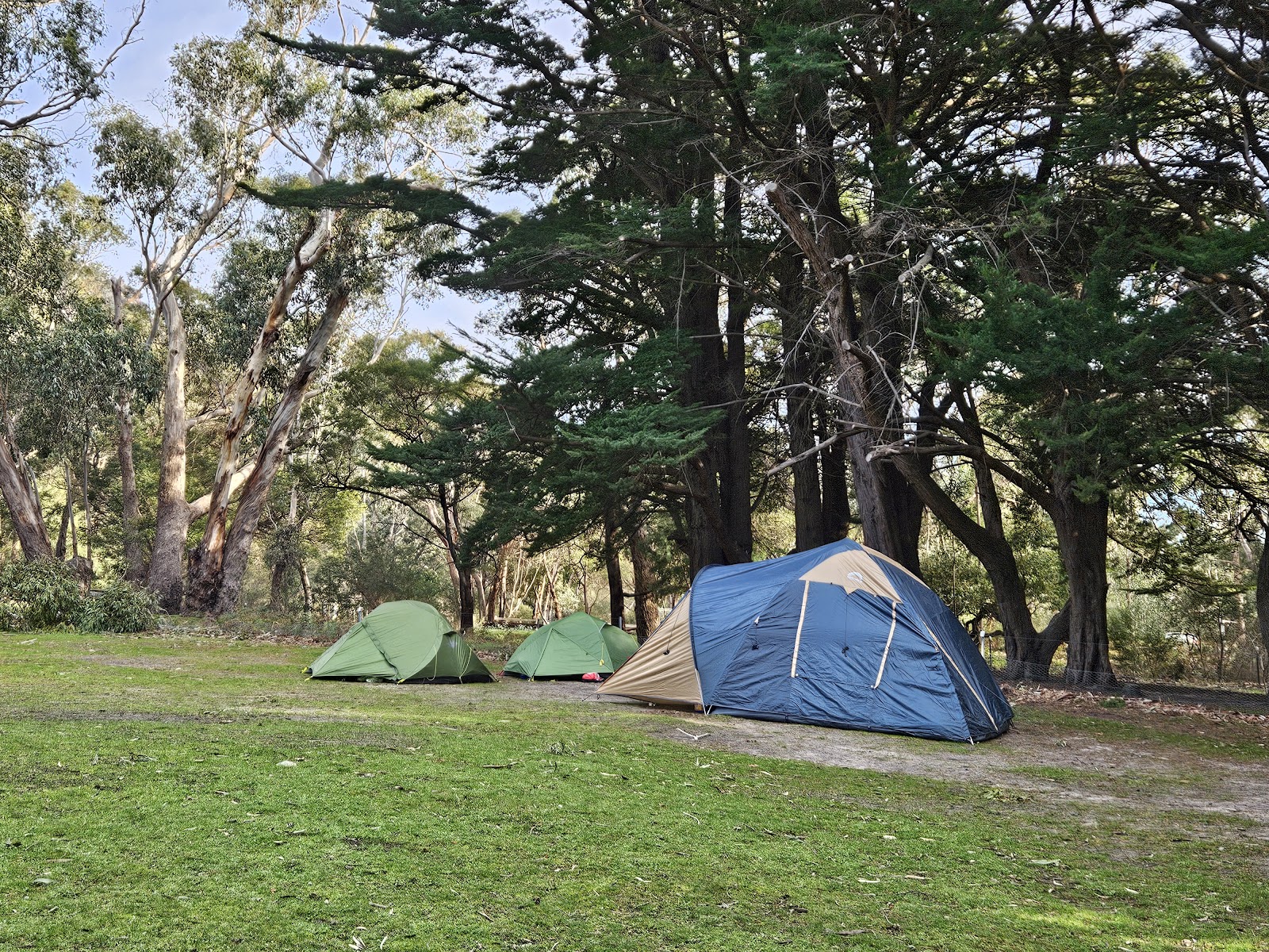 Plantation Campground 3