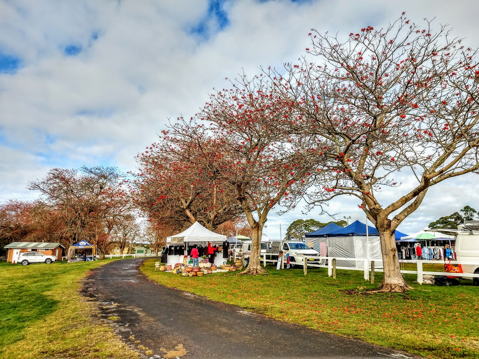 Milton Showground Primitive Camping Ground 2