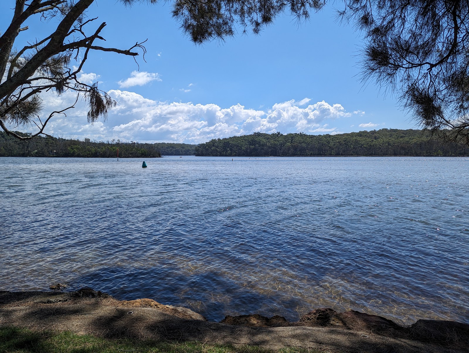 Milton Showground Primitive Camping Ground 4