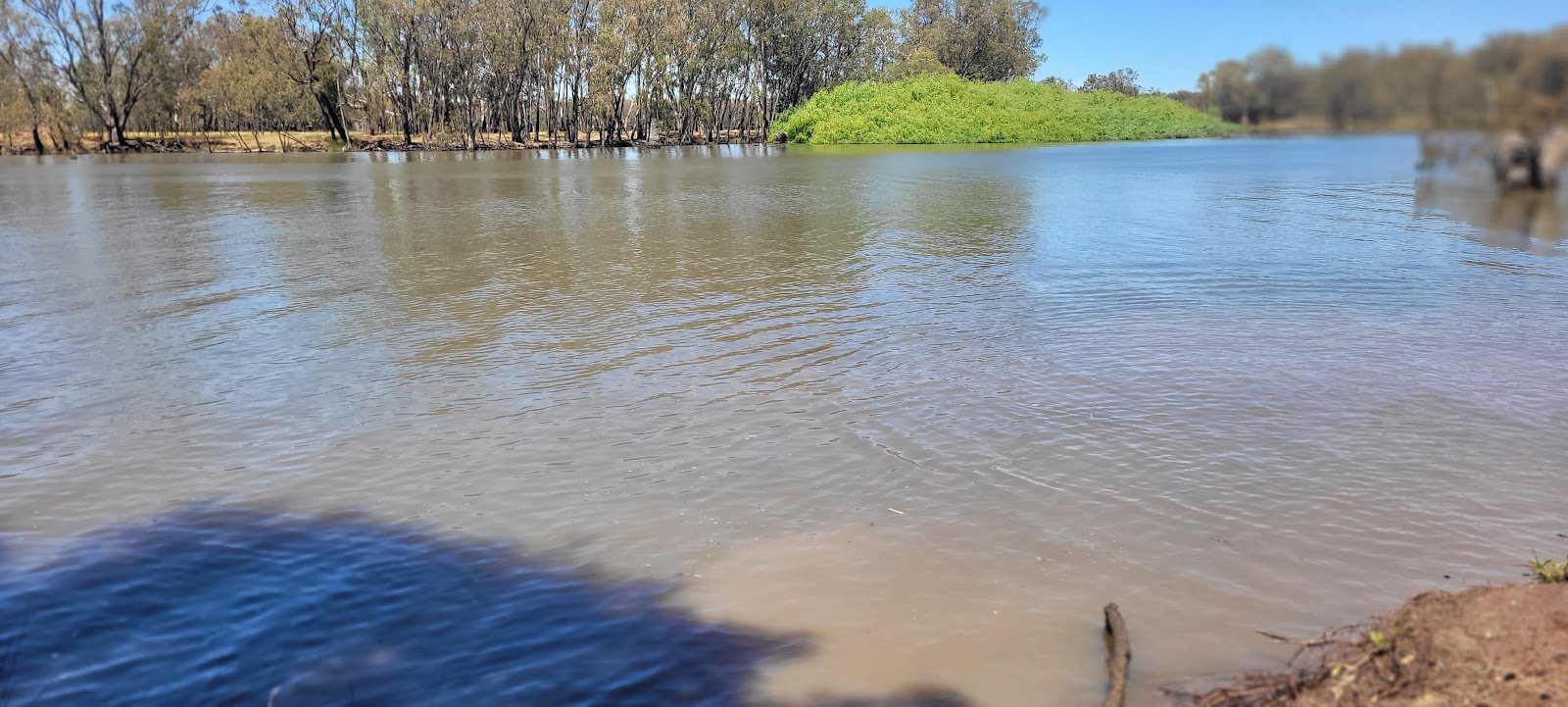 Five Mile Reserve, dog friendly, Bundidgerry Creek 2