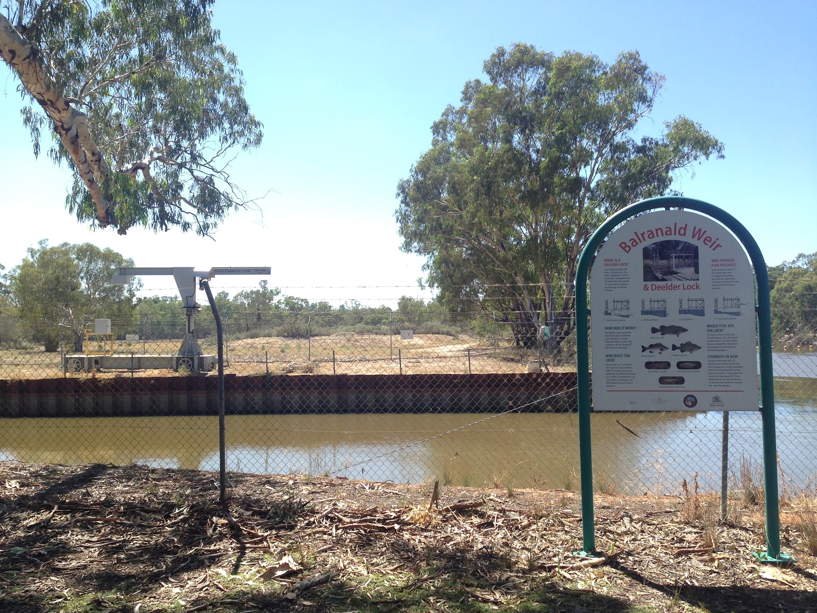 Balranald Weir 3