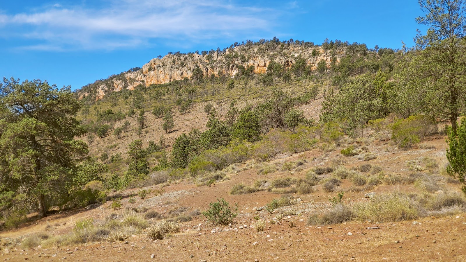 Warren Gorge 2