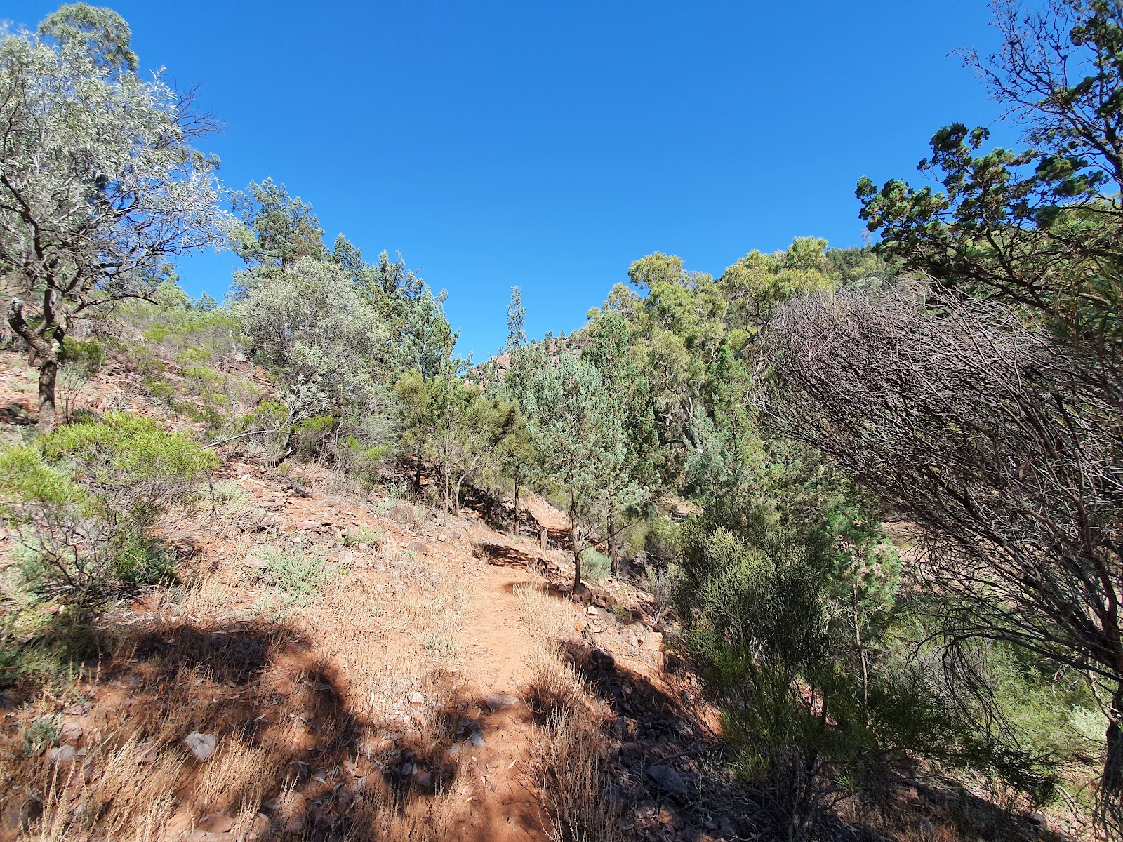 Warren Gorge 3