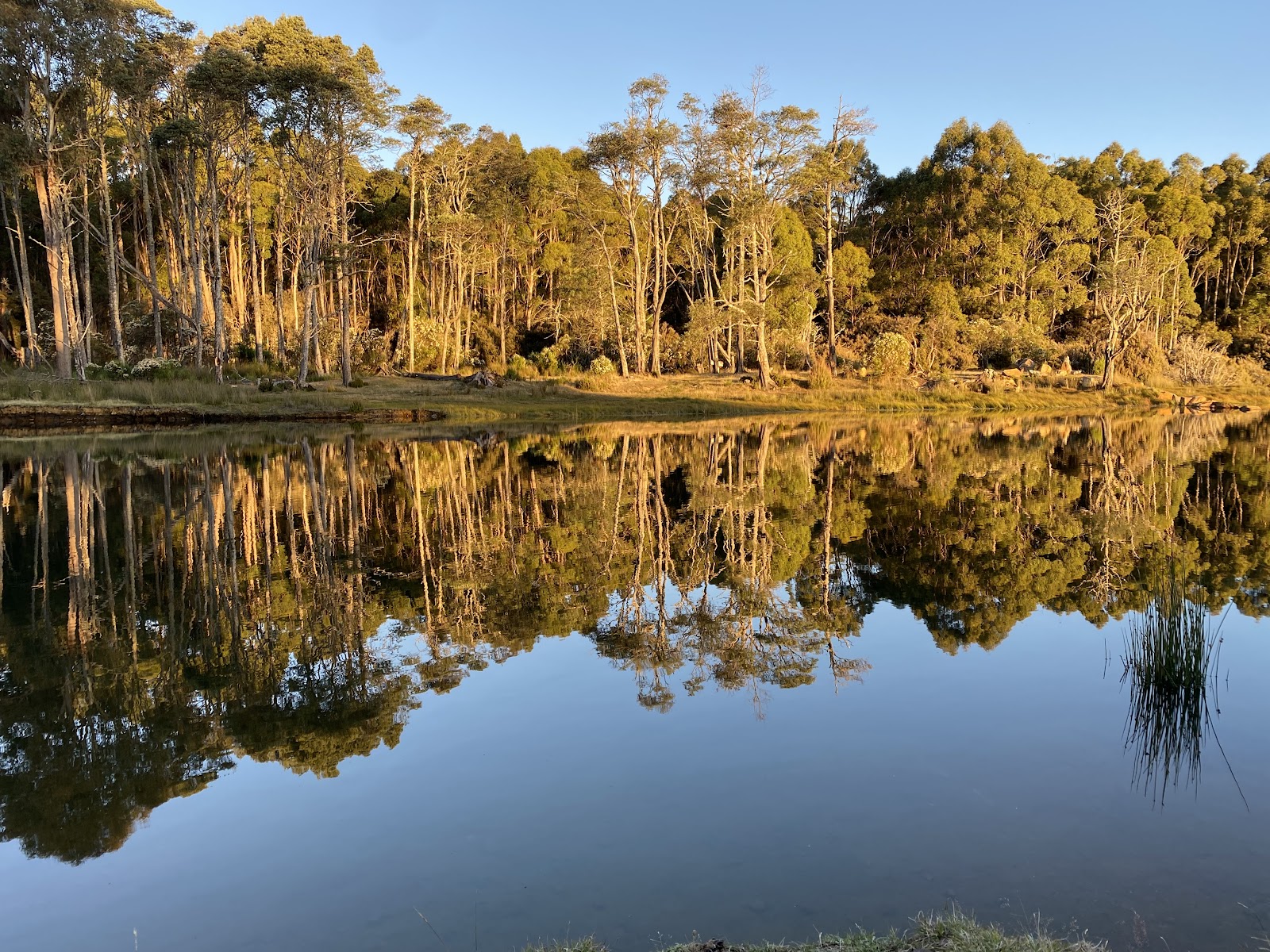 Lake Binny corner camp ground 2