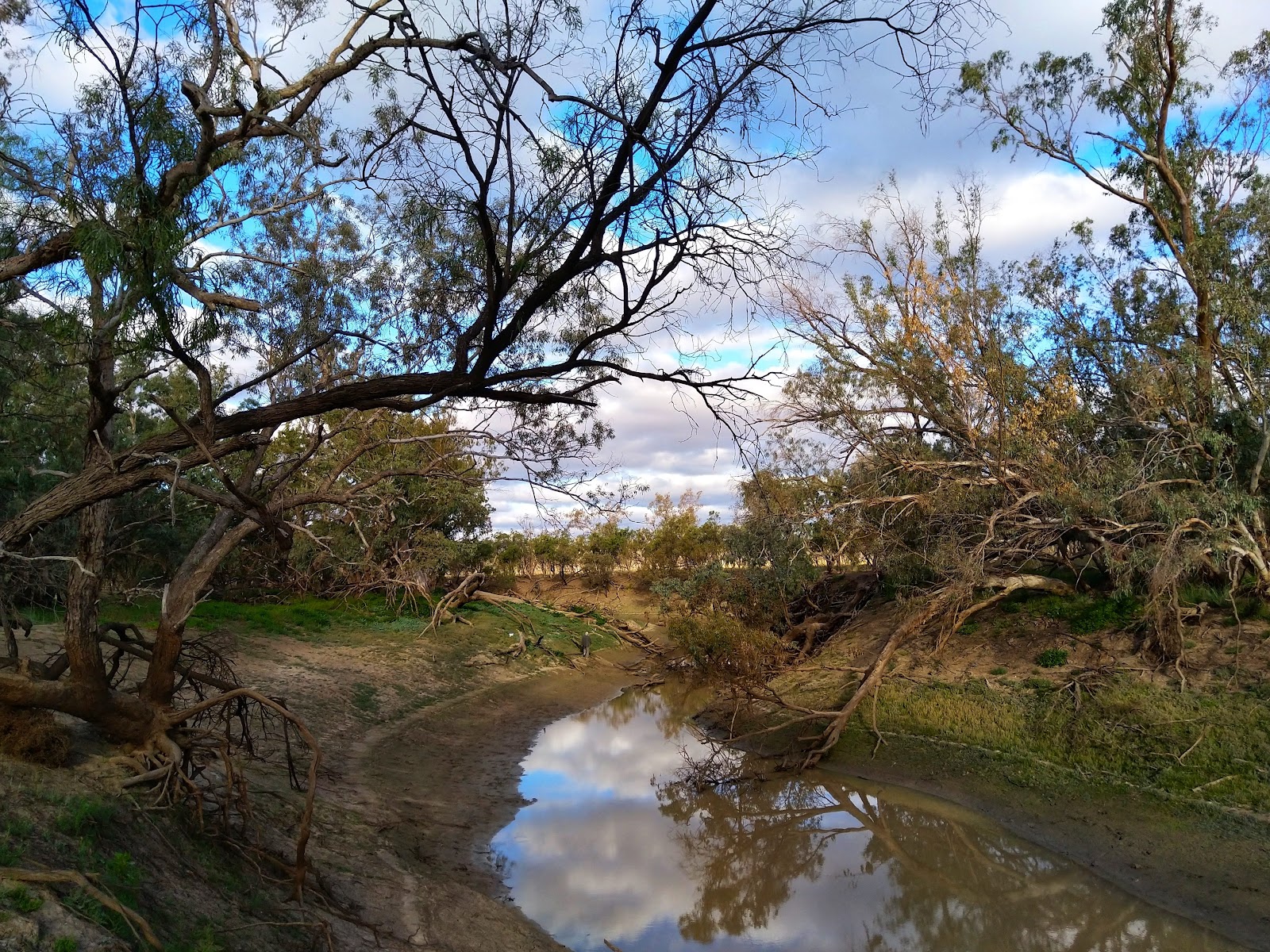 Culgoa River campground 2