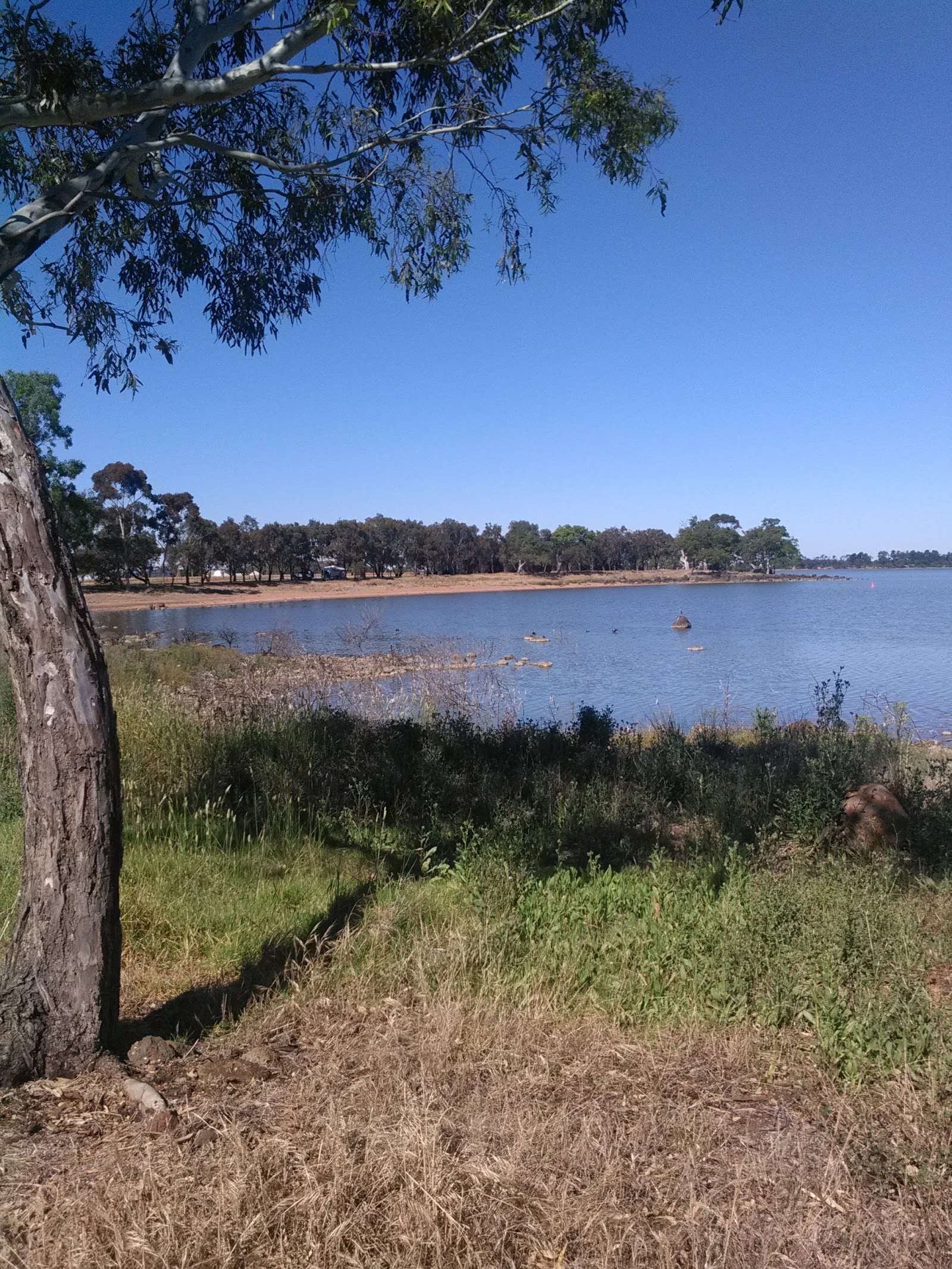 Lake bolac forshore camp reserve 3