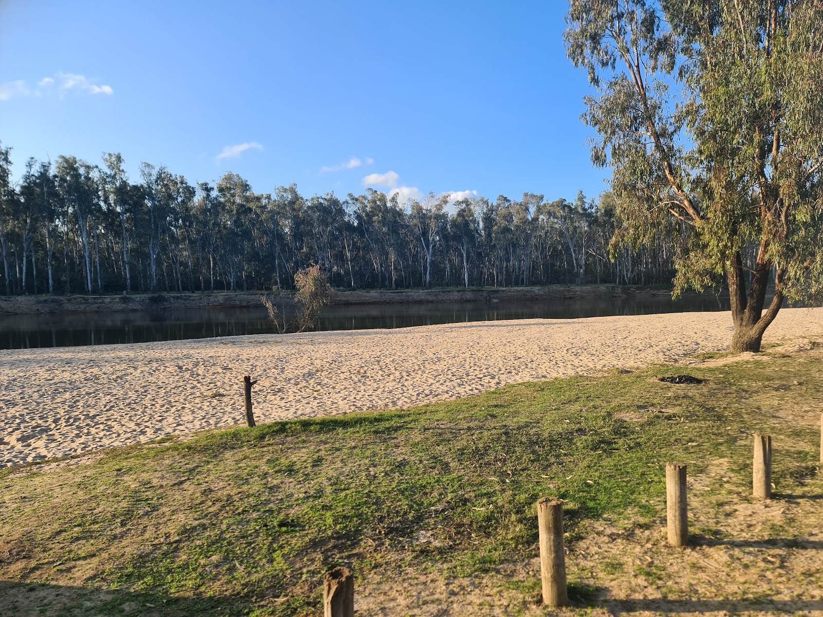 Tocumwal Town Beach Primitive Camping Area 4