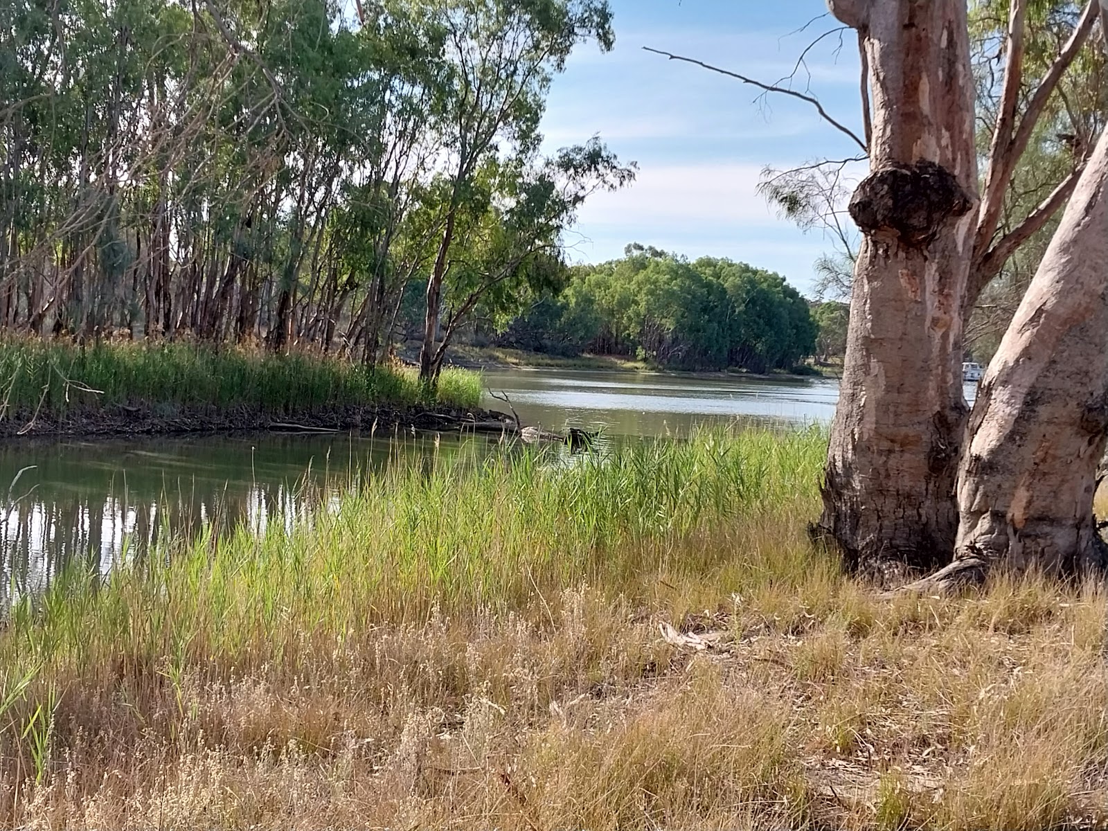 Overland Corner Reserve 2