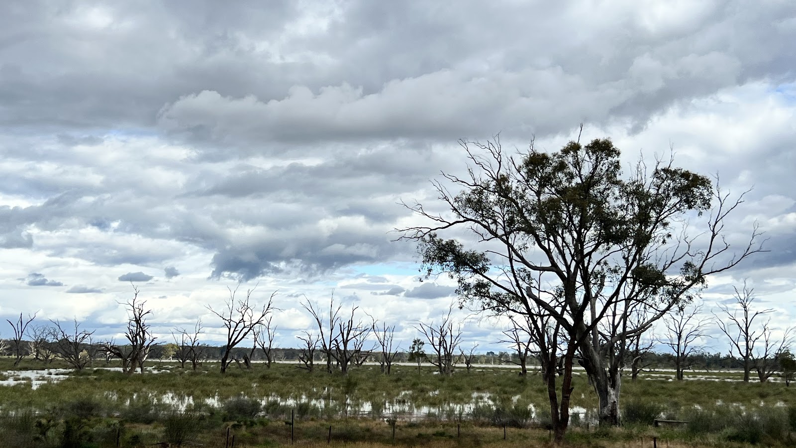 Overland Corner Reserve 3