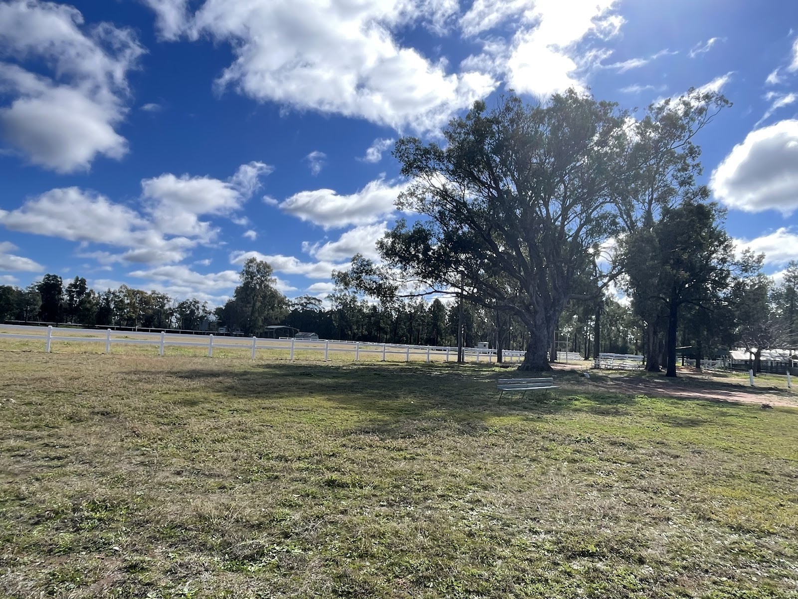 Camp Cypress 2