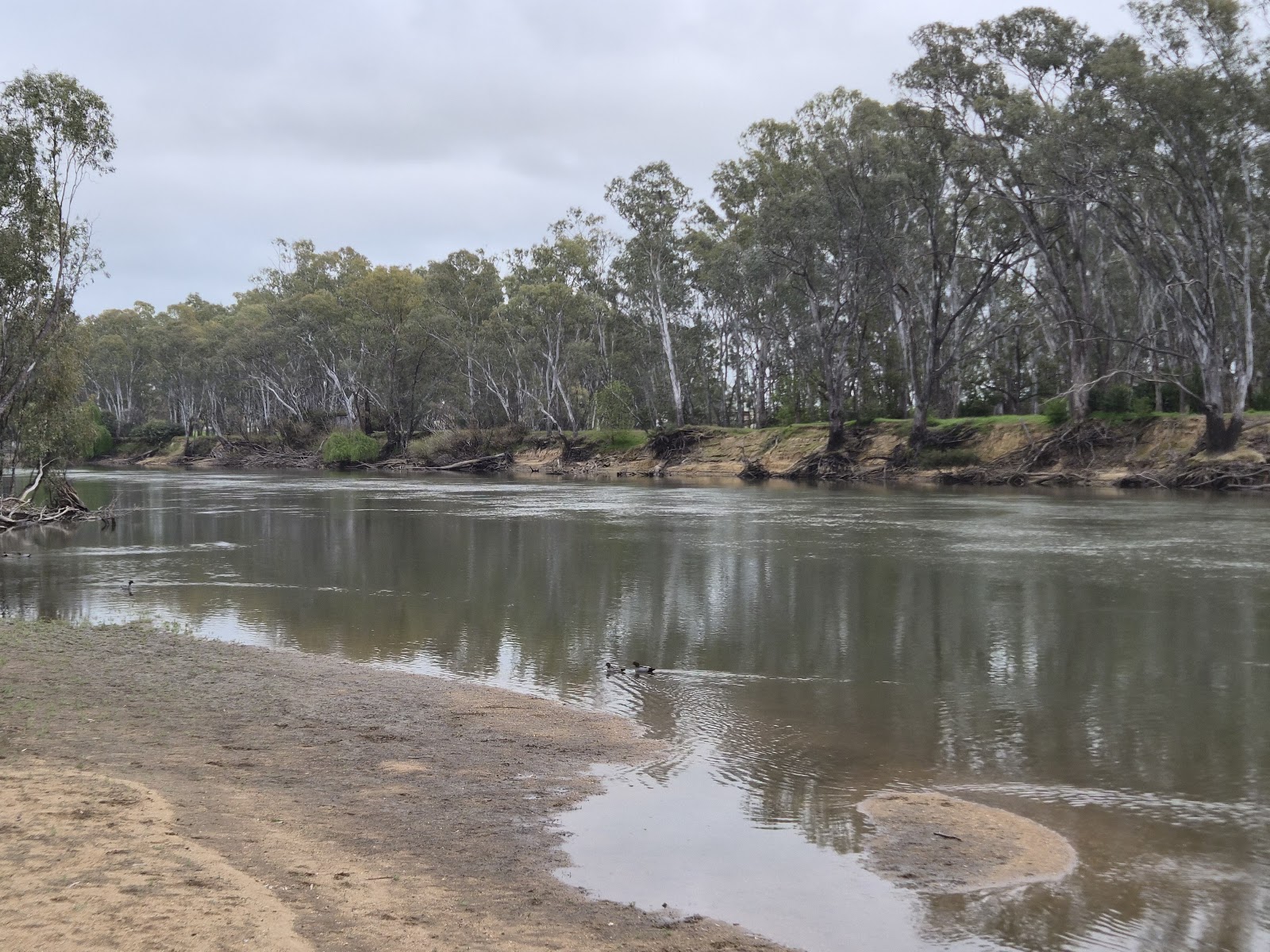 The Willows Public Recreation Reserve 2