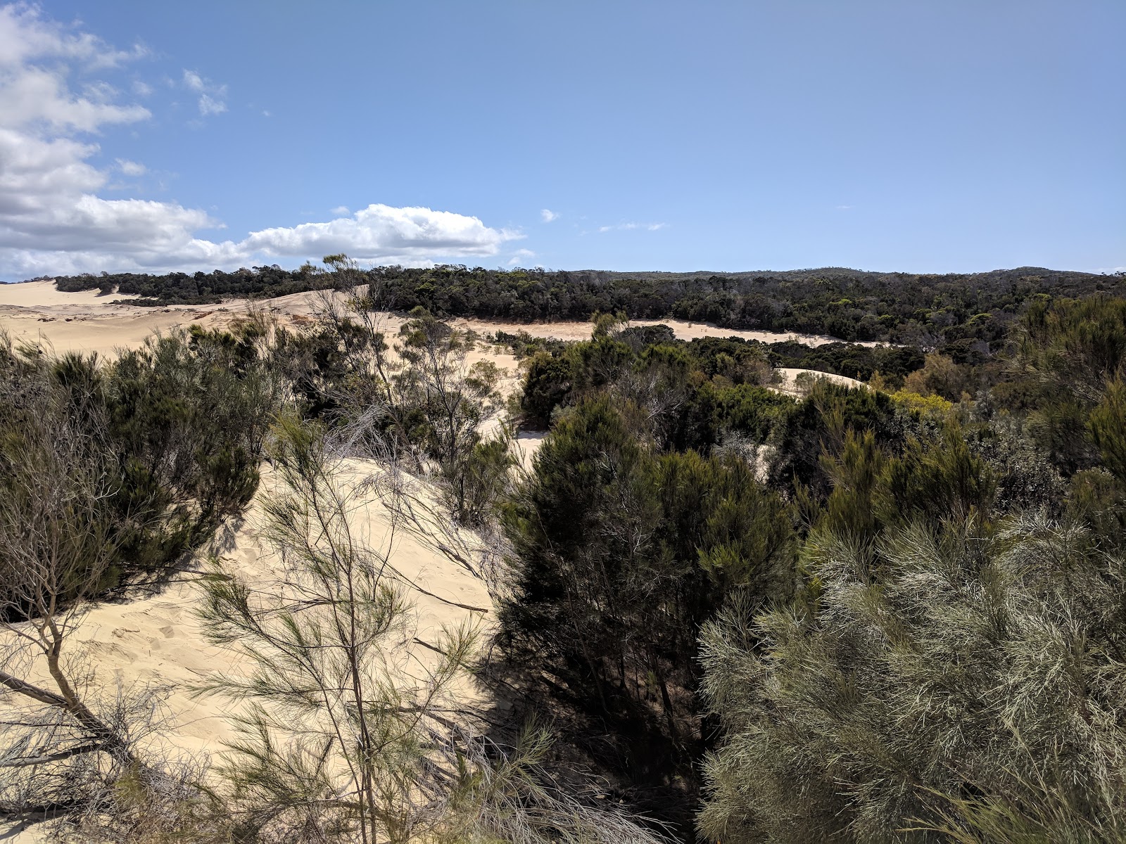 Dundubara Campground QPWS 6