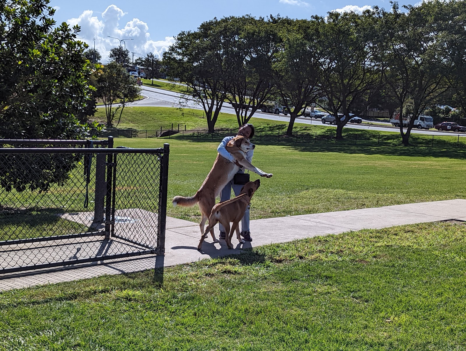 Archery Park 3