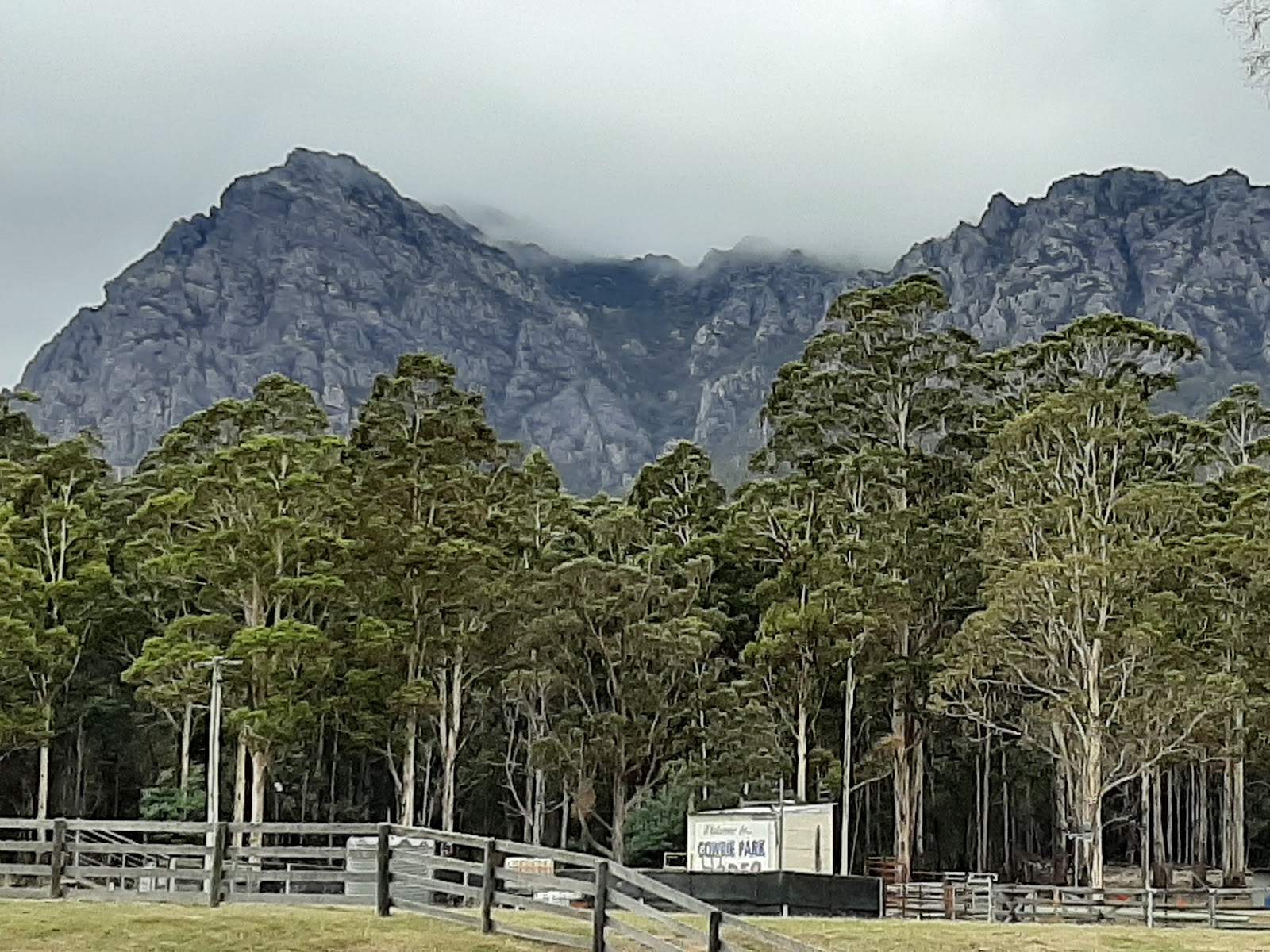 O'neills Creek Picnic Reserve 2