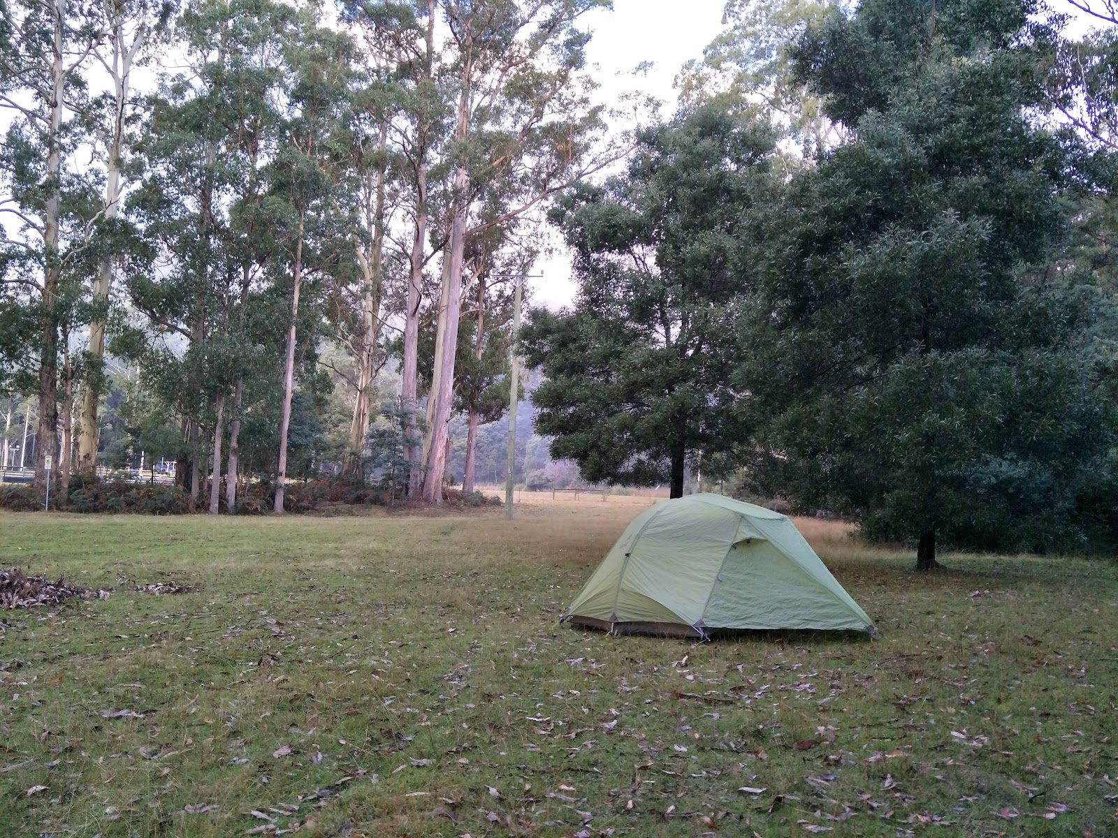 O'neills Creek Picnic Reserve 4