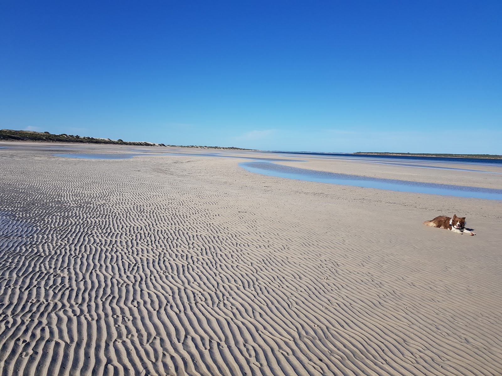 Perlubie Beach 8