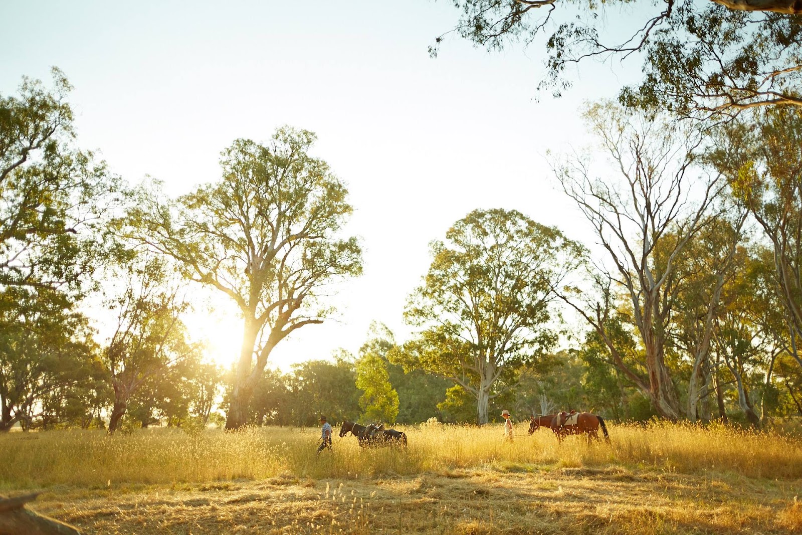 Oxley Recreation Reserve 2