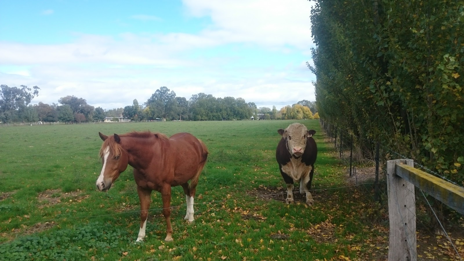 Oxley Recreation Reserve 4