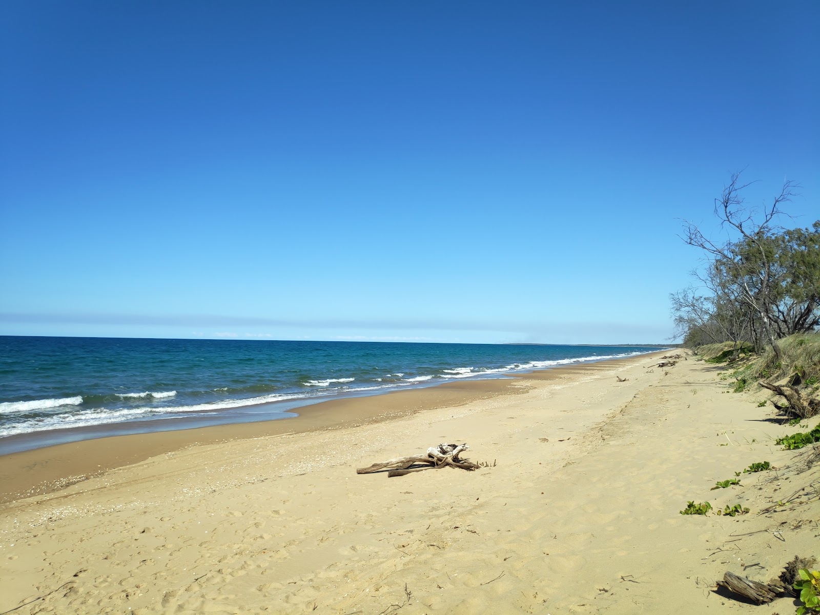 Norval Park 2