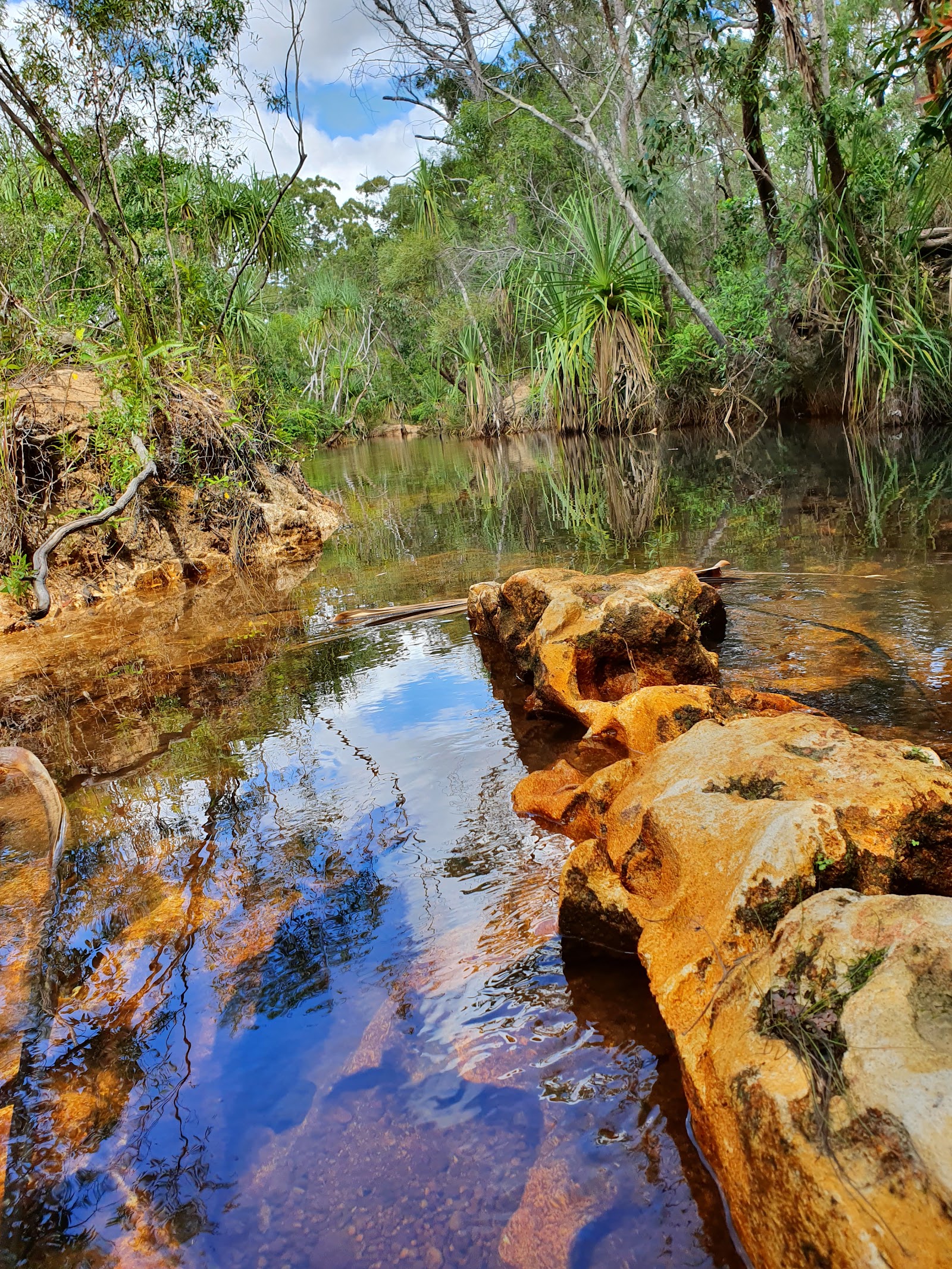 Goanna Lagoon 2
