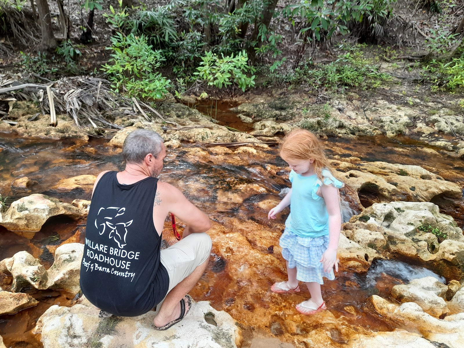 Goanna Lagoon 3