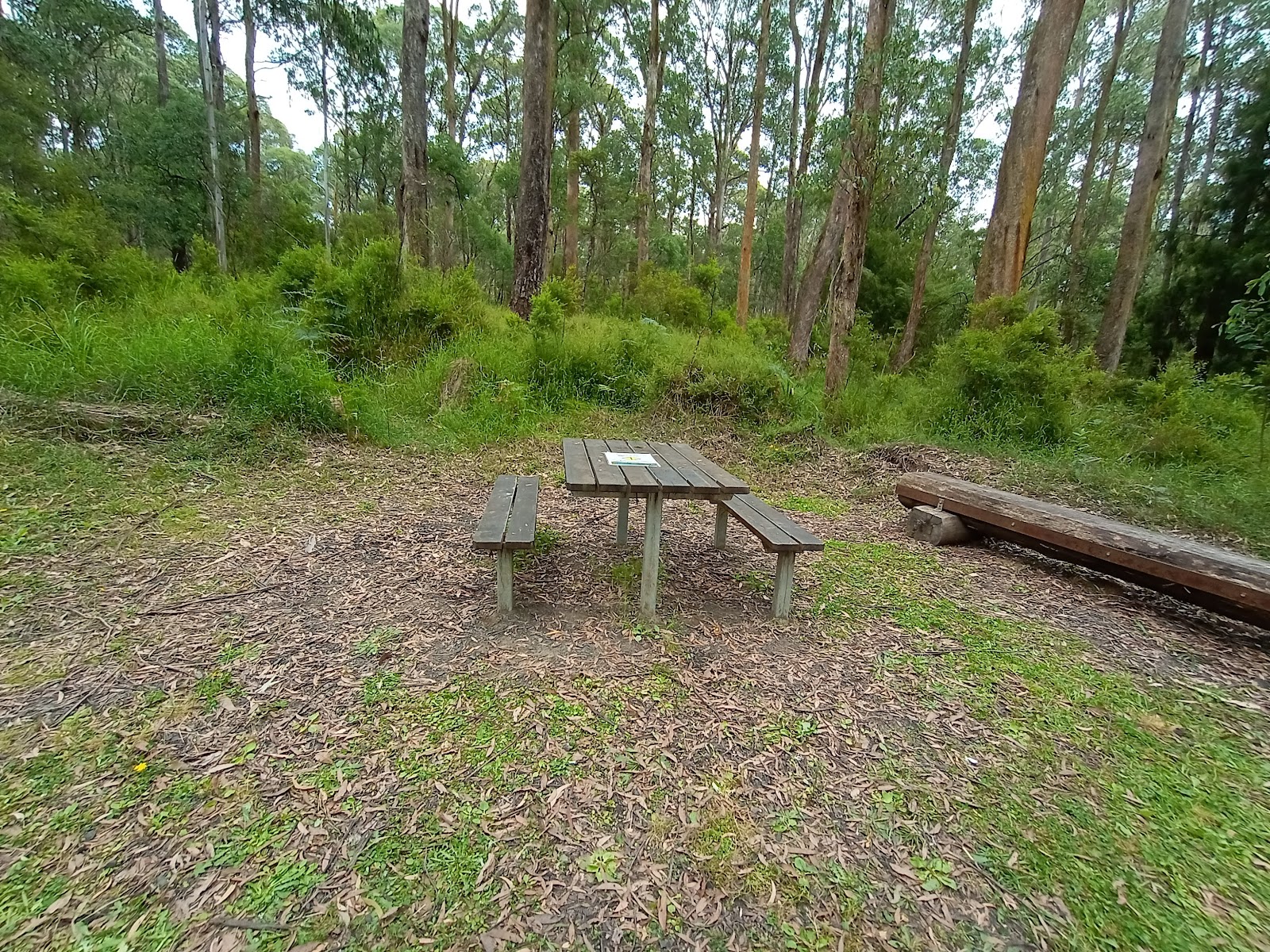 Latrobe River Camping Area 3