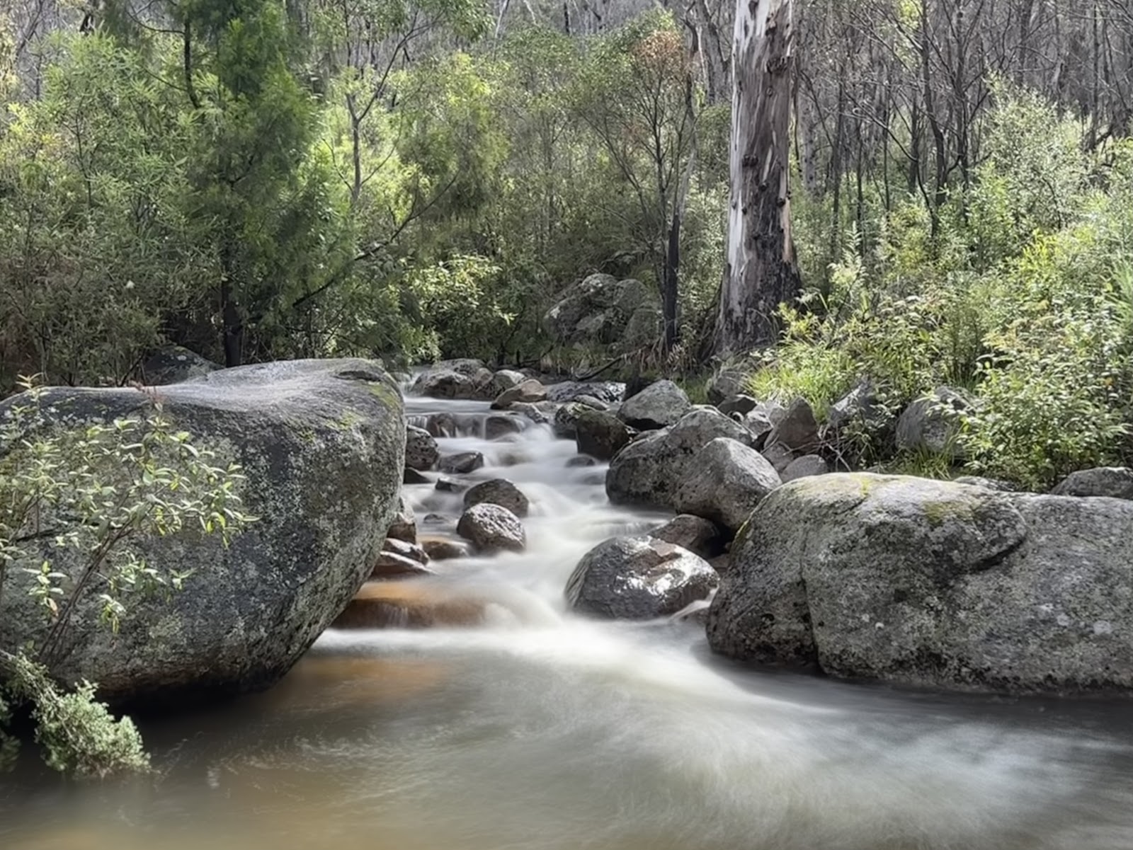 Woods Reserve Recreation Area 2