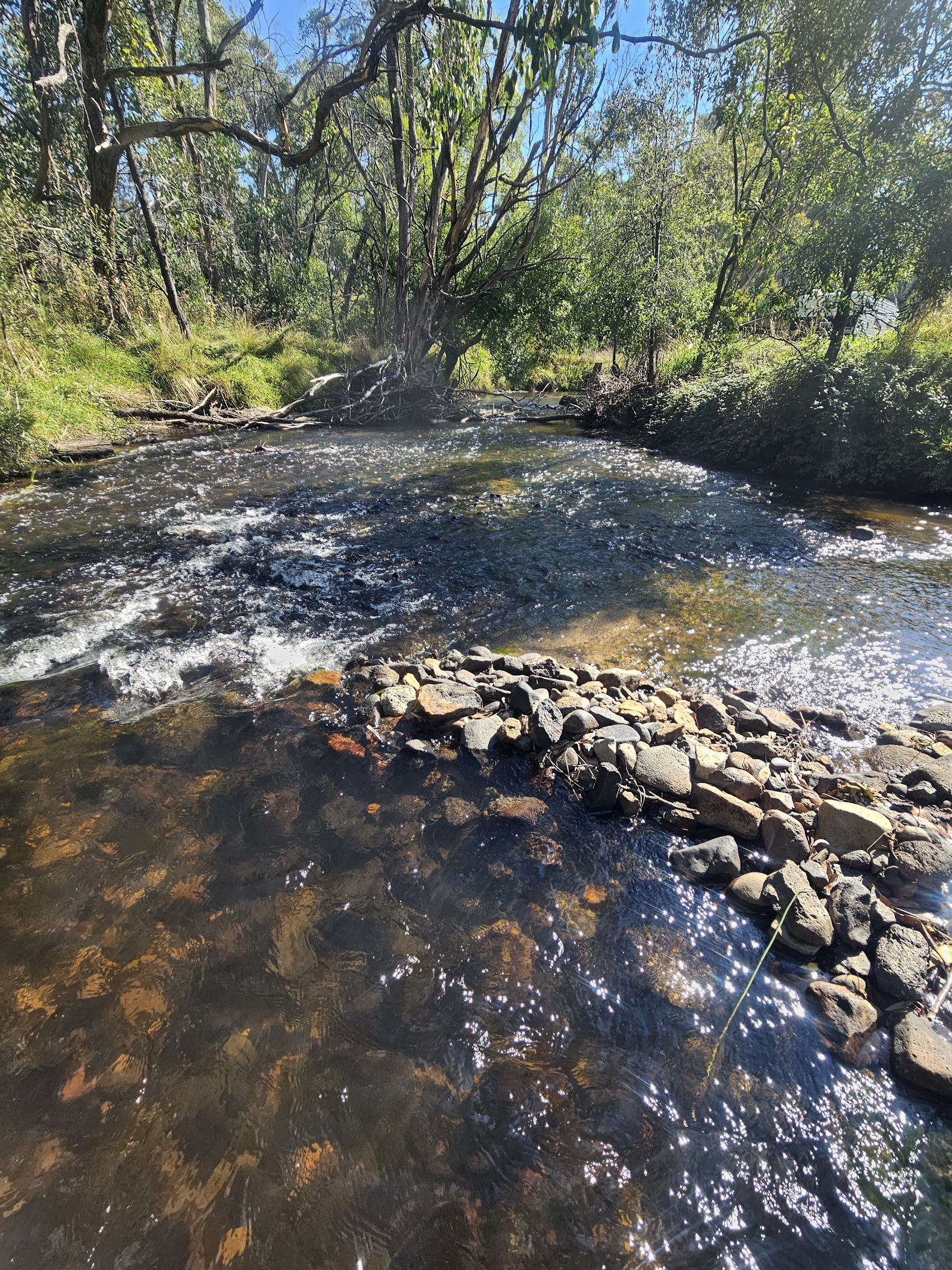 Paddys River Flats 3