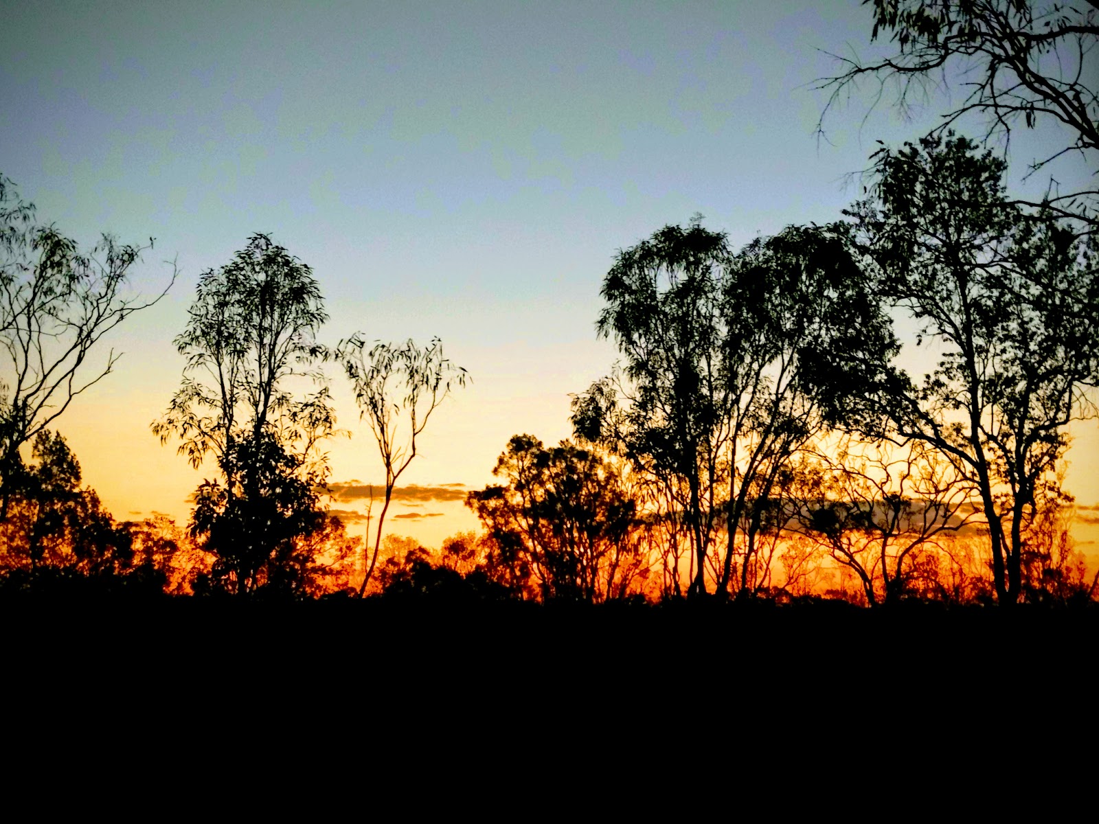 Mathison Campsite 2