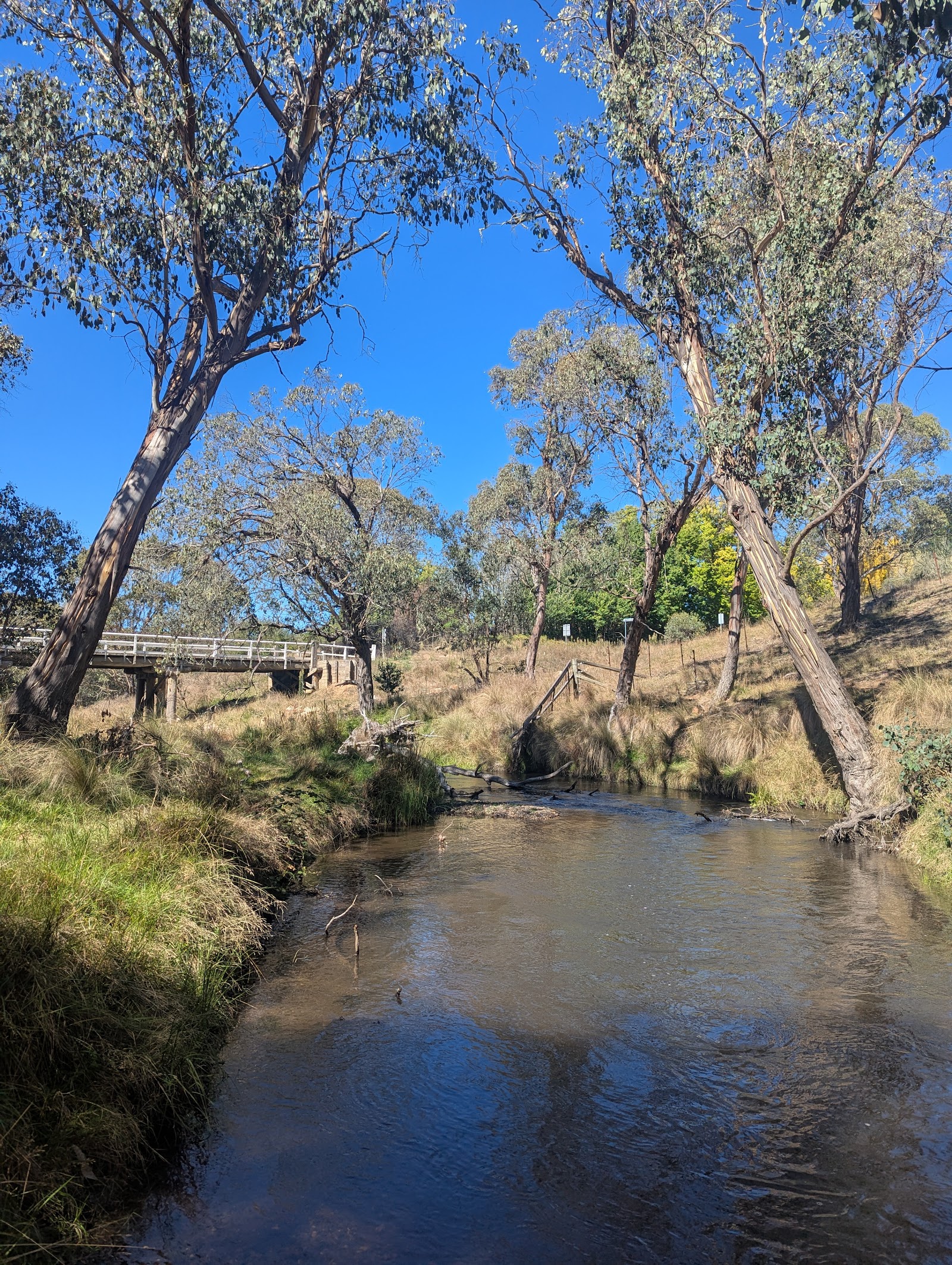 Delegate River Campground 2