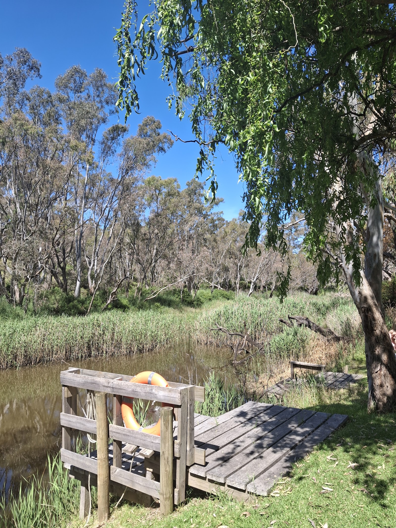 Roseneath camping area 3
