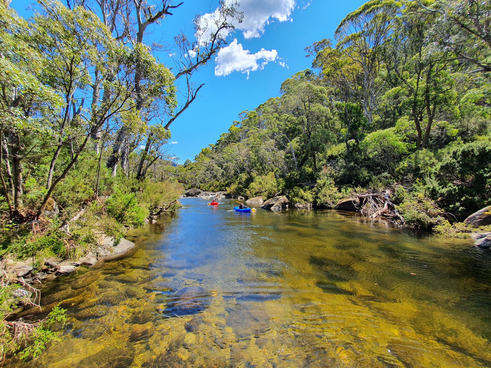 Ngarigo Campground 3