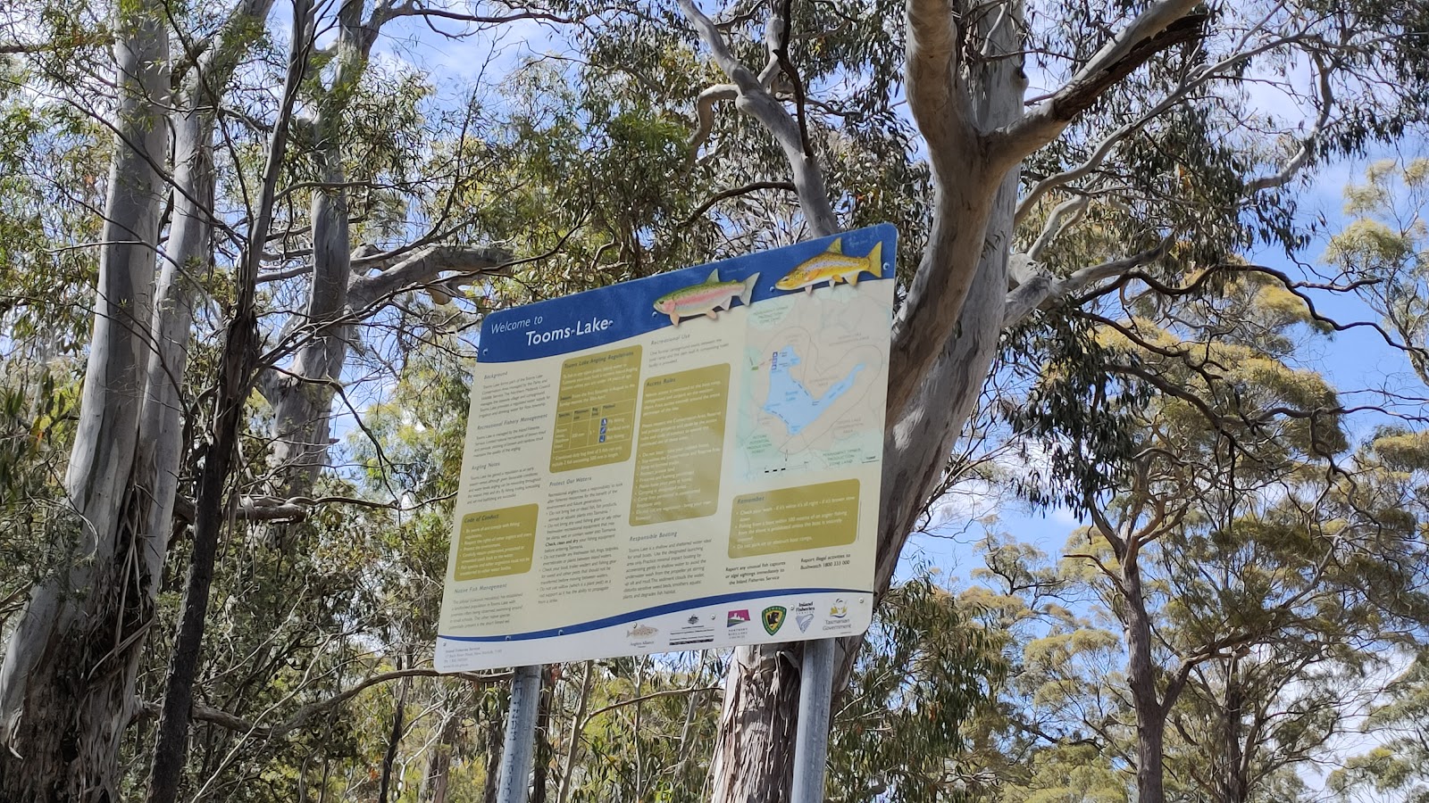 Tooms Lake Camping Area 3