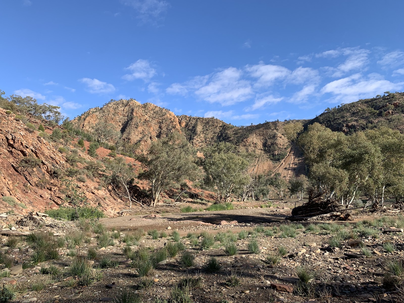 Brachina East Campground 2