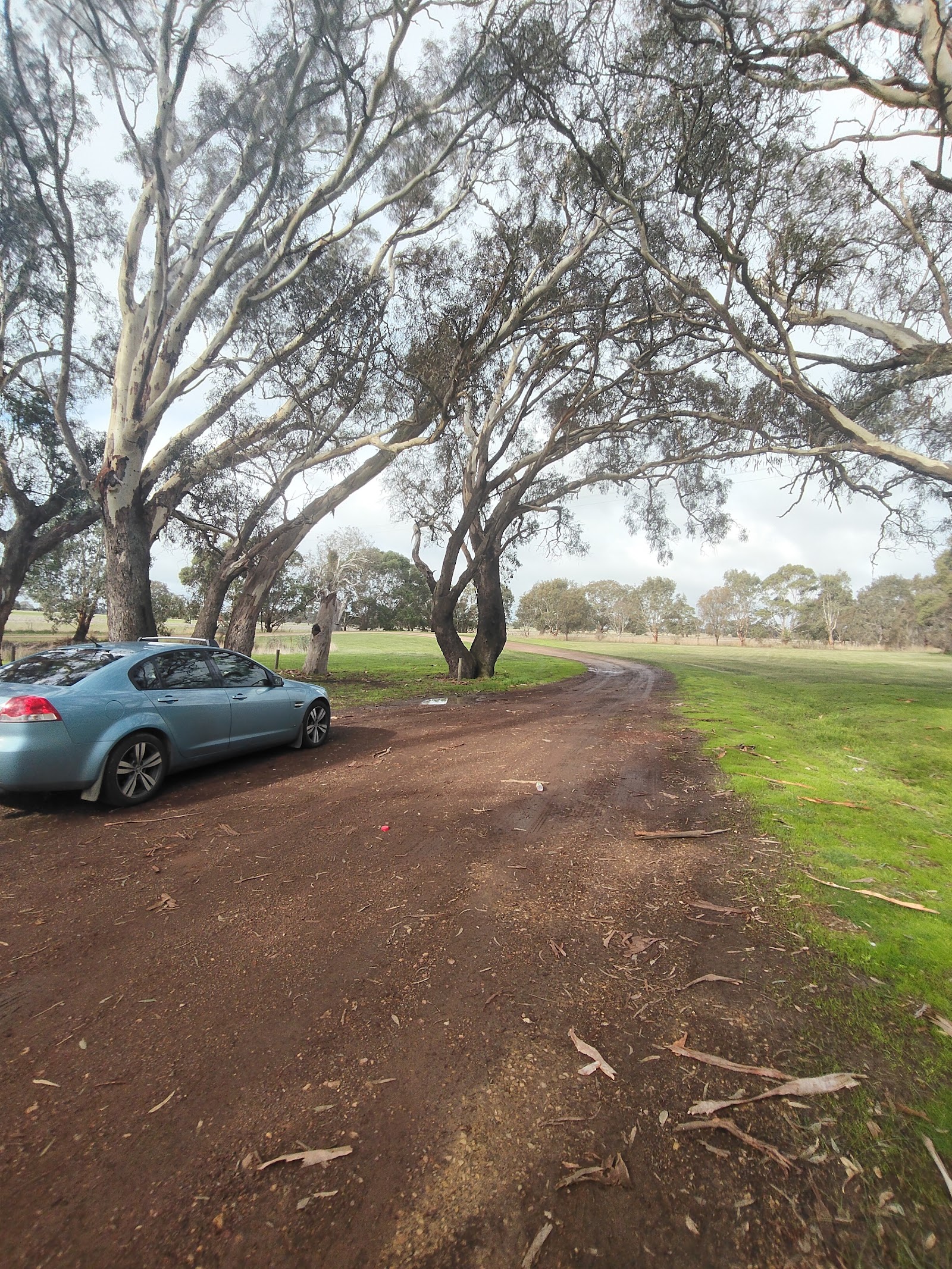 Yuppeckiar Park 3