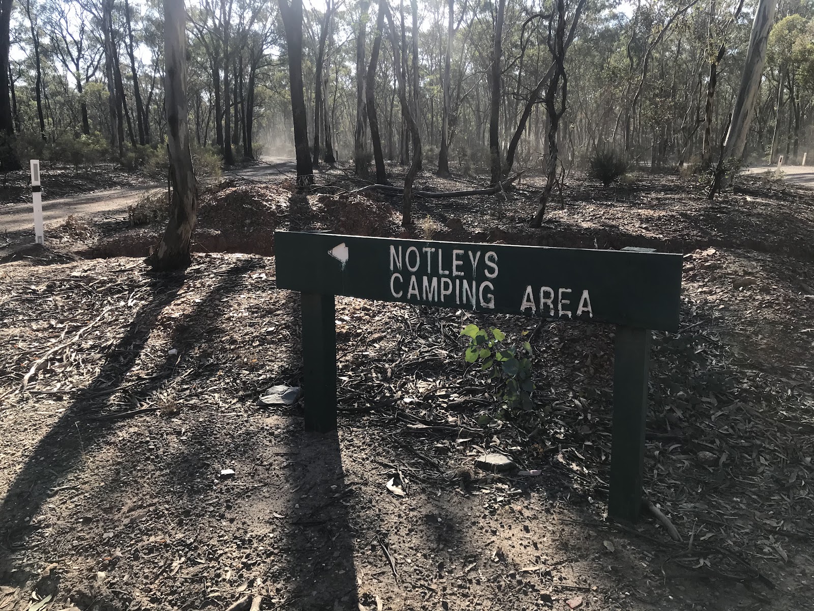 Notley Picnic and Camping Area 3