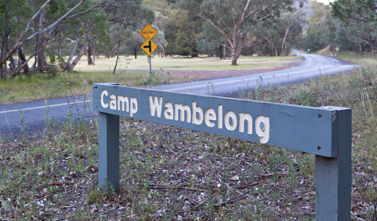 Camp Wambelong 3