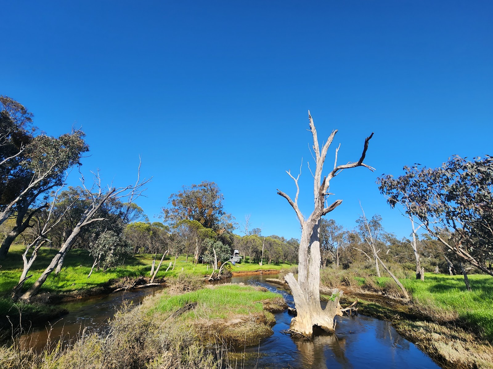 Pumphreys Bridge 3