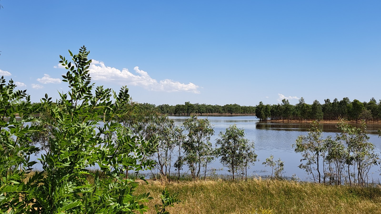 Walkers Lake 2