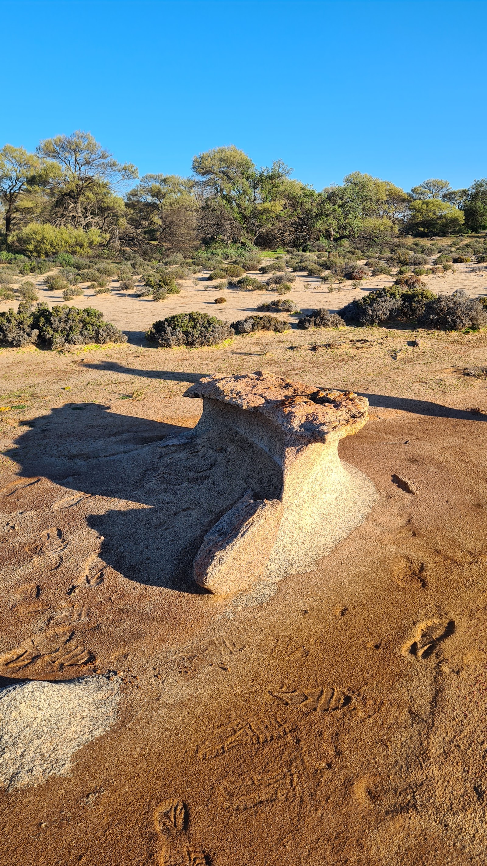 Mt Gibson- Quartz Ridge Campground 3