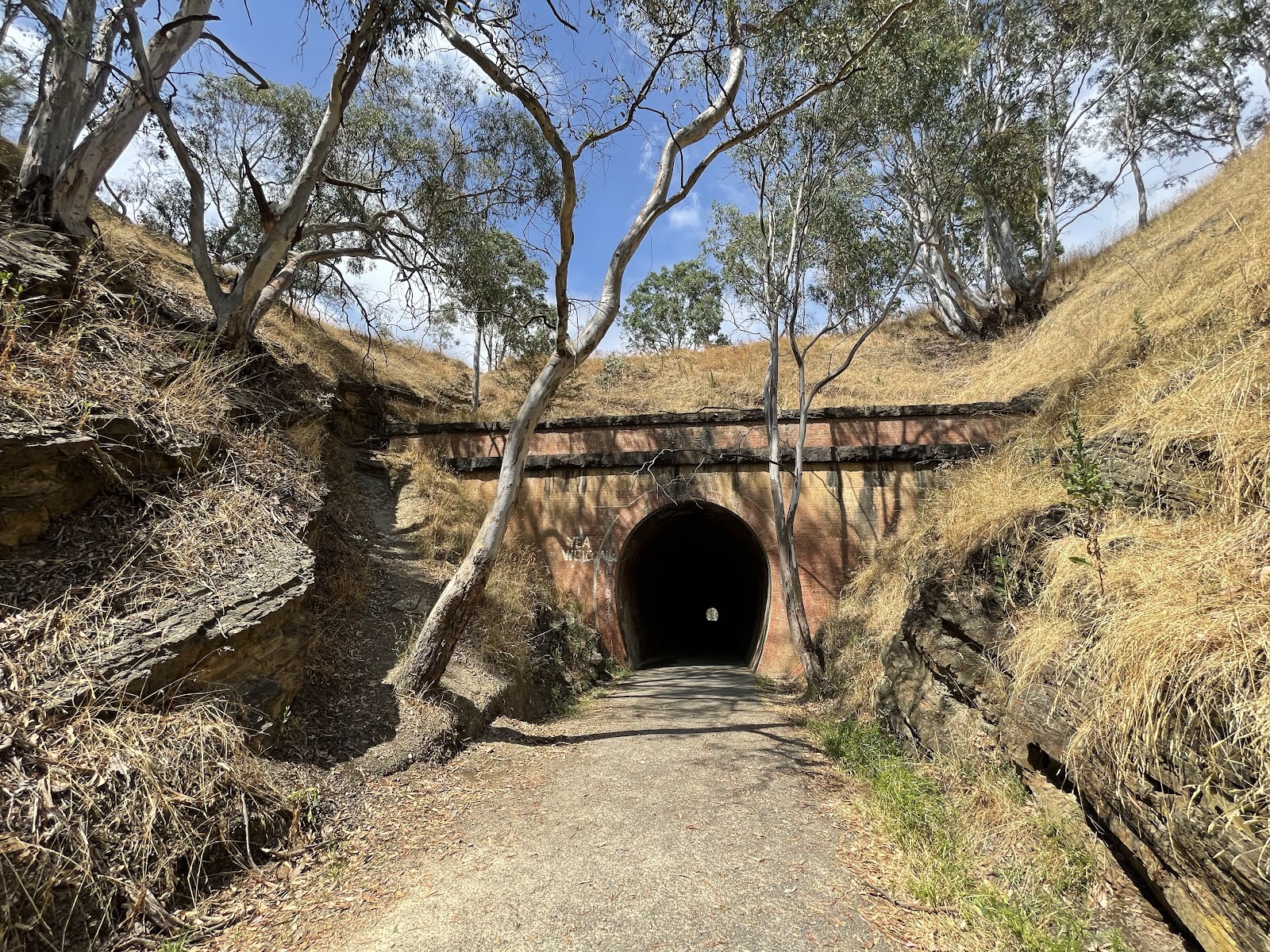 Brooks River Reserve Campground 5